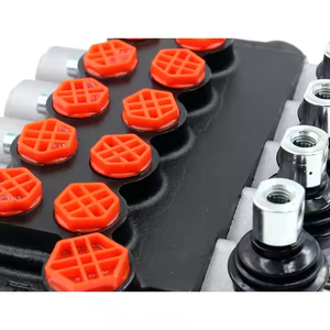 Vanne de commande directionnelle hydraulique P40-G12-G38 avec fonction de décharge principale pour les machines de construction et agricoles - Product Image 4