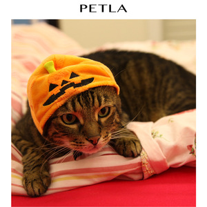 Pet <b>Pumpkin</b> Hat Halloween <b>Costume</b> Decorative Fall Pet Clothes - Product Image 4