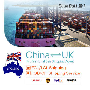 El agente de transporte marítimo más barato LCL FCL Air Express Global Freight Forwarder Forwarding DDP Servicios puerta a puerta desde China al Reino Unido - Product Image 2