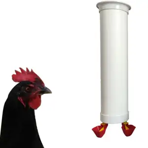 Diy Gevogelte Cilindrische Kip Waterer Pvc Pijp Voor Kippen Vogels Dier Drinkwater