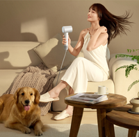 Sèche-cheveux haute vitesse Mijia H501SE Blanc - Articles ménagers intelligents >> Produits pour la maison intelligente