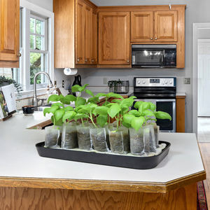 Ensemble d'accessoires d'<span class=keywords><strong>hydroponie</strong></span>, graines de micro-légumes d'intérieur, kit de culture biologique <span class=keywords><strong>pour</strong></span> micro-légumes - Product Image 3