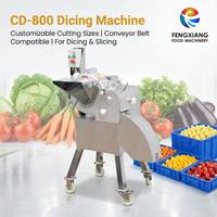 Industriële fruit- en groentepompoen-ui-kool-mango snijmachine, aanpasbare snijgroottes 800-2000 kg/uur voor industrieel gebruik