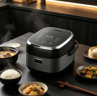 Cuisinière à riz portable intelligente IH avec cuve émaillée, boîtier en plastique, contrôle numérique du minuterie, inclut une tasse doseuse pour usage domestique et hôtelier