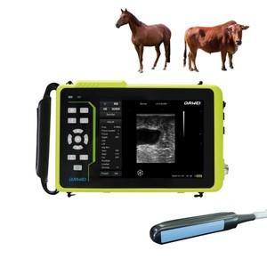 Ecógrafo Portátil Veterinario DW-Y6, <span class=keywords><strong>Precio</strong></span> de Escáner de Ultrasonido Portátil en Blanco y Negro <span class=keywords><strong>para</strong></span> Caballos, Vacas, <span class=keywords><strong>Perros</strong></span> y Cerdos - Product Image 2
