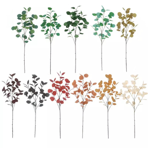 Bảo Quản Bạch Đàn Lá Táo Dài Nhân Tạo Bạch Đàn Gốc Nhỏ Bạc Đô La Lá Bạch Đàn Cho Đám Cưới Nhà Trang Trí Nội Thất - Product Image 1