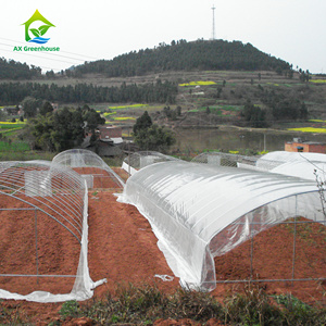 Low <strong>Cost</strong> 200 Sqm Plastic Shed Single Span Vegetable Grow Tent Film <strong>Poly</strong> <strong>Tunnel</strong> Rose Greenhouse - Product Image 4