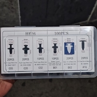 HE26 100 pièces – Fixations de carrosserie, rivets de retenue pour pare-chocs, garnitures de porte, clips de fixation pour voiture