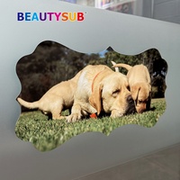 Impression Métallique HD Beautysub 1.15mm Blanc Brillant HD LS-HDA100 Plaques d'Aluminium pour Sublimation HD par Transfert Thermique Longstar