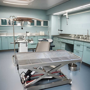 Instrument vétérinaire de table d'opération d'animaux d'acier inoxydable de SAFECAREYOU pour l'opération de chien d'hôpital d'animal familier - Product Image 6