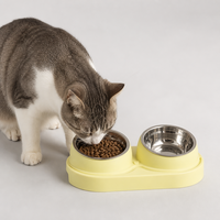Mangeoire double surélevée pour animaux de compagnie, sièges inclinés avec deux bols amovibles en acier inoxydable, rebord anti-déversement, pour chats et chiens