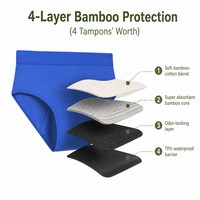 Culottes menstruelles en fibre de bambou grande taille 6XL, sous-vêtements menstruels anti-fuites, haute absorption, sans serviette, réutilisables, sous-vêtements pour femmes