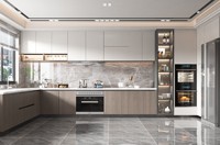 Set Dapur Modern Lengkap dari Baja Anti Karat dengan Backsplash Resin Laminasi, Kabinet Marmer, Keran, Engsel, Wastafel, Prefabrikasi untuk Apartemen