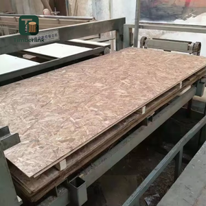 17mm 11mm 15mm 18mm <span class=keywords><strong>Osb</strong></span> 7/16 fenólico impermeable <span class=keywords><strong>Osb</strong></span> 3 <span class=keywords><strong>placa</strong></span> <span class=keywords><strong>Osb</strong></span> Estructural 9,5mm para edificios al aire libre - Product Image 6