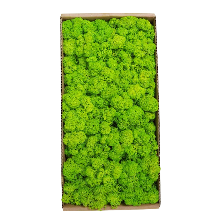 Fruit Green 500g