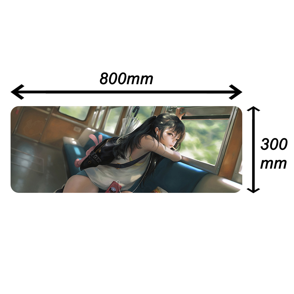 800*300mm