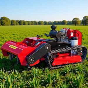 Máquina Desbrozadora para Terrenos Complejos, Exportación a América del Norte y Europa, Cortadora de Césped con Orugas para Recuperación de Grandes Áreas - Product Image 2