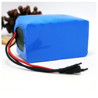 Paket Baterai Lithium Ion DTP18650 OEM ODM Custom Dengan BMS, 24V/48V 7S/10S 10Ah/12Ah Berbagai Konfigurasi S&P untuk Sepeda Motor Roda Tiga