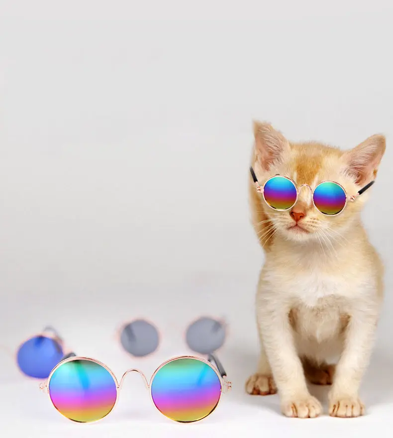 ファッションペット犬サングラス服アクセサリークールグルーミング写真小道具犬猫メガネ