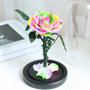 Fleurs Conservées Sous Dôme en Verre avec Tailles Personnalisables, Durables et Idéales pour les Cadeaux lors <span class=keywords><strong>de</strong></span> Toutes les Occasions - Product Image 6