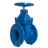 Katup Gerbang Flens Standar DIN/ANSI Awwa Ductile Iron Non Rising Stem untuk Industri