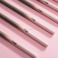 Ensemble de 9 pinceaux de maquillage professionnels rose dégradé à marque privée, avec logo personnalisé, poils en nylon de qualité supérieure, idéal pour les voyages