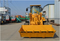 LX30-25 Baggerlader mit optionalem Hydraulikhammer & Palettengabel für Lade- und Baggerarbeiten