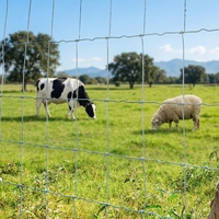 Clôture pour bétail à nœuds fixes galvanisée à chaud, clôture de champ agricole, clôture en fil métallique tissé haute résistance, rouleau de clôture pour bétail