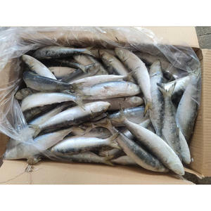 Maquereau glacé 18 Maquereaux ronds entiers <span class=keywords><strong>Carapau</strong></span> Poisson Maquereau Cheval - Product Image 3