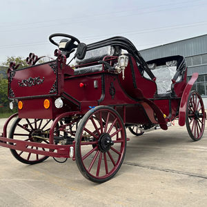 Carrosse électrique royal personnalisé pour l'extérieur, plusieurs couleurs, carrosse électrique sans chevaux, prix spécial - Product Image 1