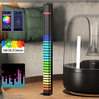 Lampe LED Rechargeable à commande vocale rvb, capteur de lumière de niveau musical, lumières de rythme