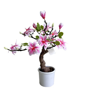 Árbol Bonsái <span class=keywords><strong>de</strong></span> <span class=keywords><strong>Magnolia</strong></span> Artificial Realista, Flor <span class=keywords><strong>de</strong></span> <span class=keywords><strong>Magnolia</strong></span> Artificial en Maceta, Bonsái Floral Artificial para Decoración Oriental del Hogar - Product Image 2