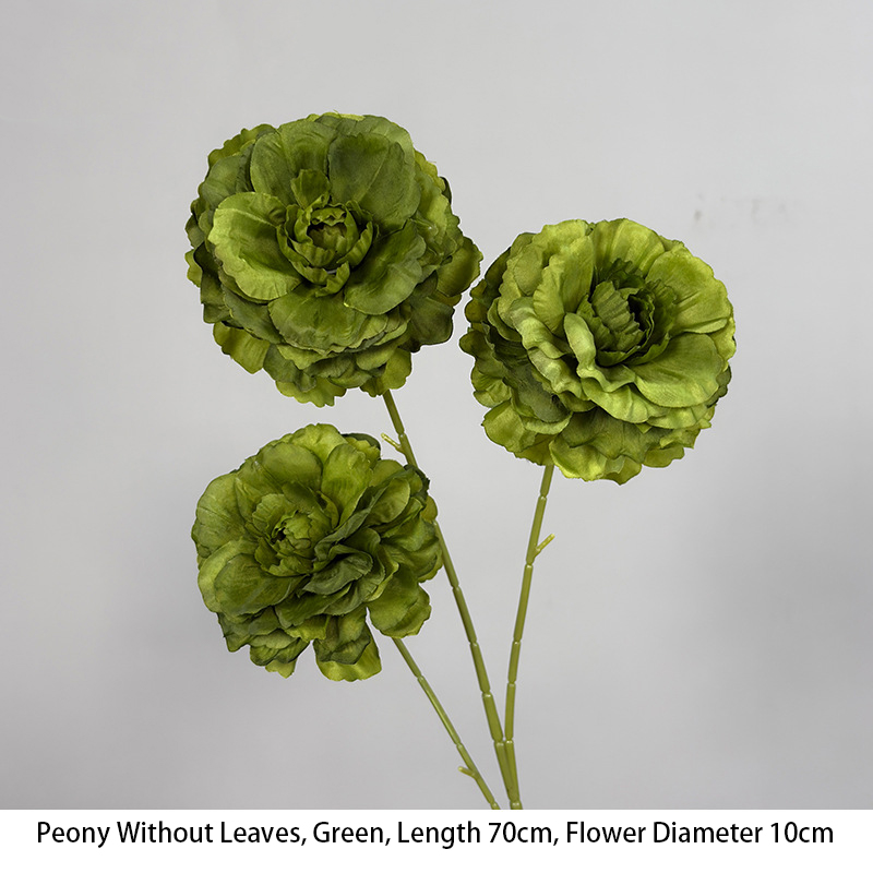 Peony Without Leaves