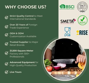 <span class=keywords><strong>JJ</strong></span>, nuevo diseño, 8 pulgadas, 3cr13, acero inoxidable, mango hueco, cuchillo de Chef, cuchillo de cocina - Product Image 5