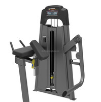 Équipement de musculation avec des machines professionnelles pour les exercices des jambes : quadriceps, ischio-jambiers, fessiers et mollets.