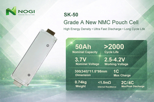 Baterai Li Polymer Isi Ulang Sel Pouch Ncm Kapasitas Besar SK 3.7V 50Ah untuk Paket Baterai Kendaraan Listrik - Product Image 2