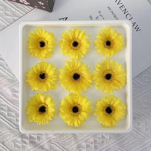 Margaritas naturales de color africano, <span class=keywords><strong>Gerbera</strong></span>, <span class=keywords><strong>jamesonii</strong></span>, bolo, flor de sol decorativa, flor de Margarita preservada - Product Image 5