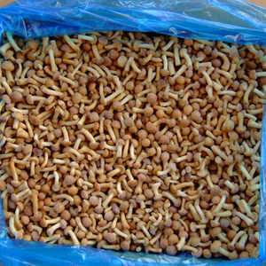 Proveedores de Alta Calidad de Hongos Nameko Congelados IQF, Cortados Tipo Ostra, <span class=keywords><strong>Shiitake</strong></span>, Nameko, <span class=keywords><strong>Boletus</strong></span> Edulis, Mezcla de Hongos - Product Image 3