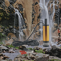 Mini pompe submersible en acier inoxydable et fonte pour l'industrie automobile, le camping, avec fond amovible, 38 mm, 12 V, pompe de transfert d'eau