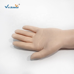 แบบจำลองแขนฝึกหัดฉีดยา (ไม่รวมชุด) แบบจำลองการฉีดยา แบบจำลองแขนฝึกเจาะเลือด ชุดฝึกปฏิบัติ - Product Image 5