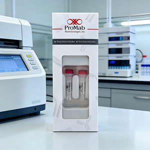 Monoclonal de Conejo para <span class=keywords><strong>CHAT</strong></span> - Product Image 5