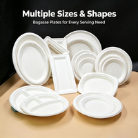 Assiettes ovales jetables robustes de 10 pouces en bagasse, résistantes à l'huile, compatibles micro-ondes, biodégradables, en canne à sucre, pour plats de fête, en vrac