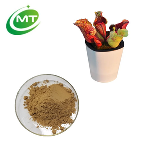 無料サンプル利用可能天然植物エキス<span class=keywords><strong>Sarracenia</strong></span> purpurea純粋な<span class=keywords><strong>Sarracenia</strong></span> purpureaエキス - Product Image 2