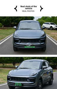 Mini SUV électrique domestique 60V 72V, véhicule de transport électrique à énergie nouvelle - Product Image 6