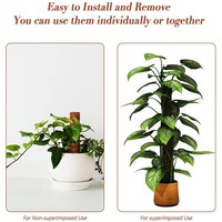 Tige de mousse de coco de 40 cm, bâton de soutien pour plantes grimpantes en fibre de coco, poteau de croissance pour plantes 'Turtle Back', bâton de coco en fibre de coco