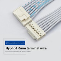 كابل مخصص من نوع JST PA بخطوة 2 مم ذكر إلى نهاية مفتوحة، موصل JST-PA PAP بخطوة 2.0 مم، 2P 4P 2 3 5 6 7 8 سنون، ضفيرة أسلاك