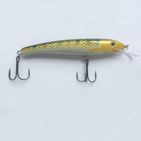 Leurres de pêche durs pour la pêche en eau salée, leurres de traîne, leurres de pêche type minnow