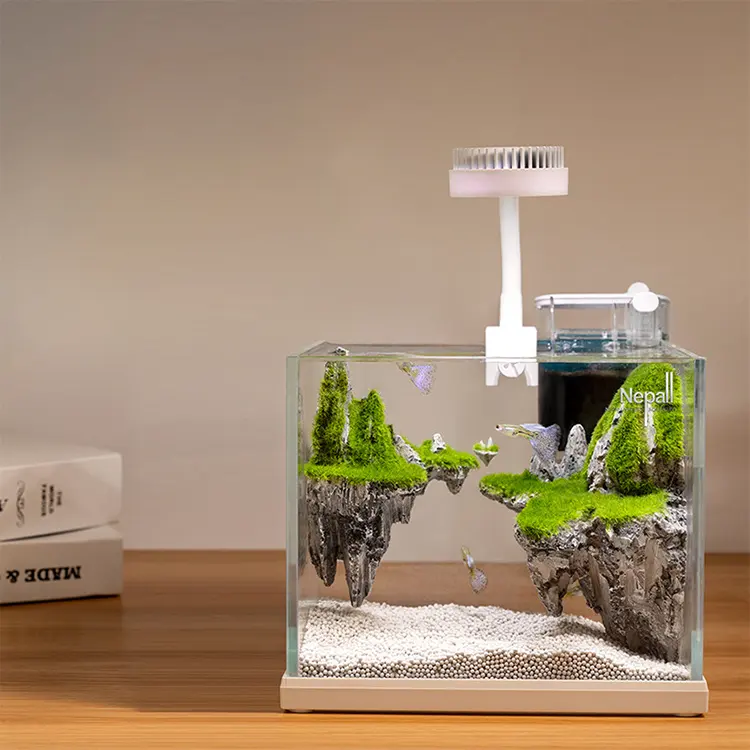 Nouveau Offre Spéciale Creative Écologique Petit Fish Tank Aquarium