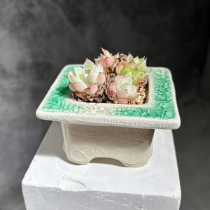 Nouveau style de <span class=keywords><strong>pot</strong></span> de fleurs pour succulentes, design minimaliste glacé effet craquelé, combinaison sur pied et de bureau, simple et auto-absorbant - Product Image 5