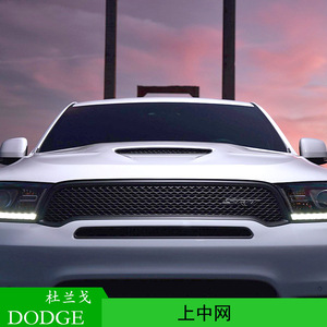 Dodge Durango 2018-2020 Front <b>Grille</b> Inner <b>Mesh</b> 68307807AA ABS Replacement Part - Product Image 4